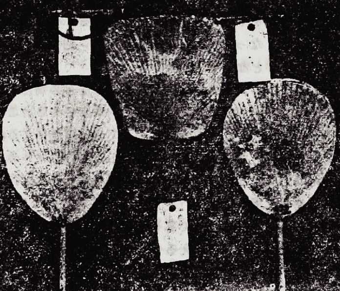 SILK-BioCraft Image 7